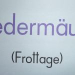 Fledermäuse