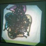 image8.jpeg